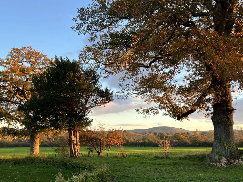 Langton Lane, Hurstpierpoint, BN6 photo 13