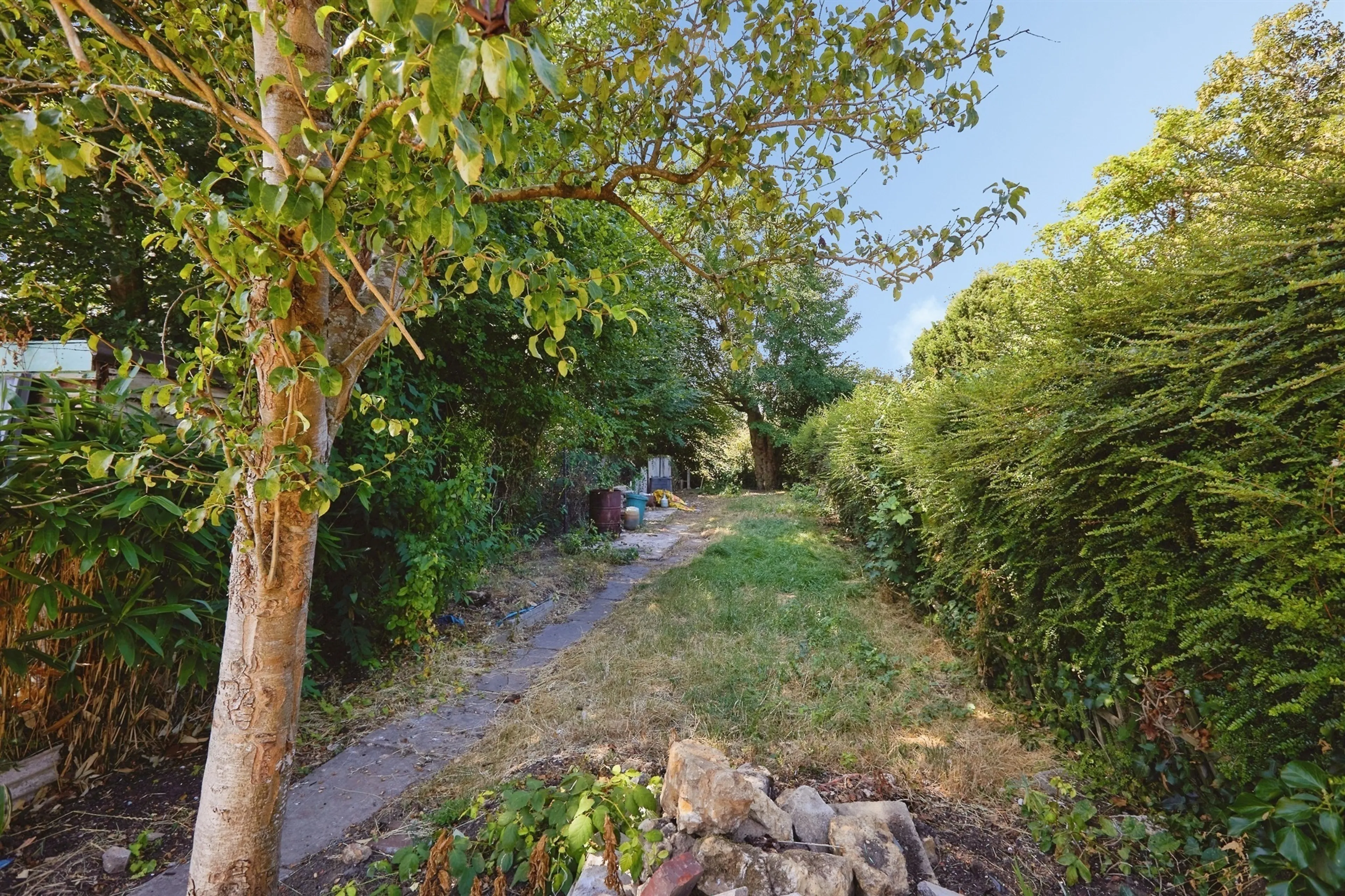Property photo 13