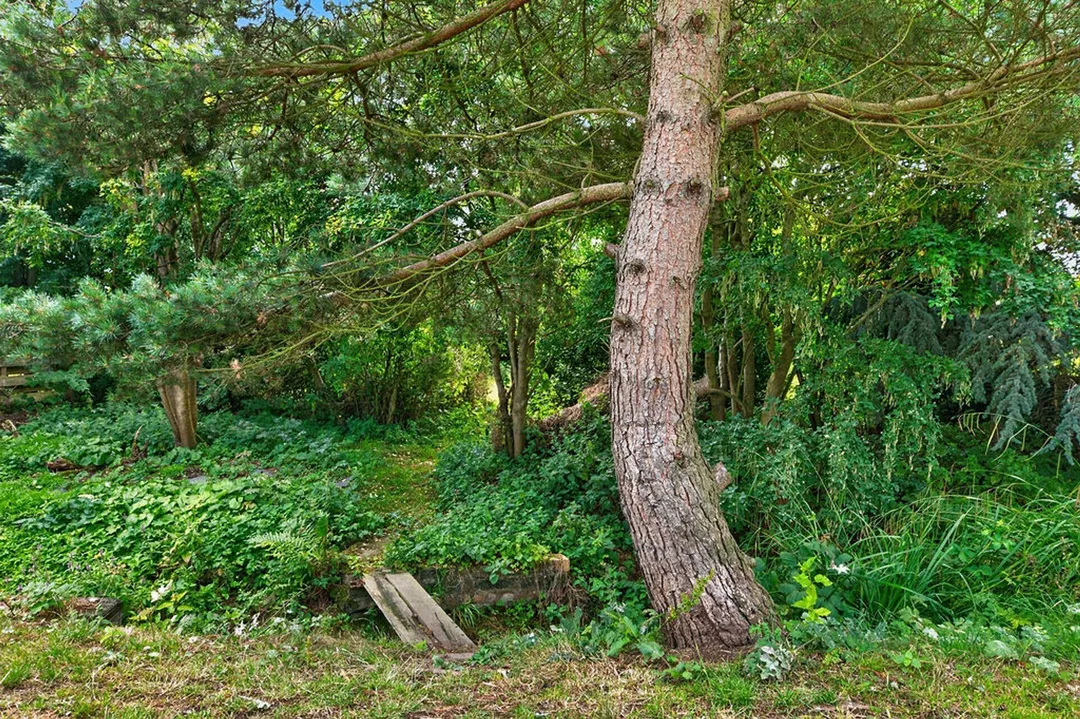 https://mr0.homeflow-assets.co.uk/files/photo/image/48063/2945/_x_/Photo58.jpg