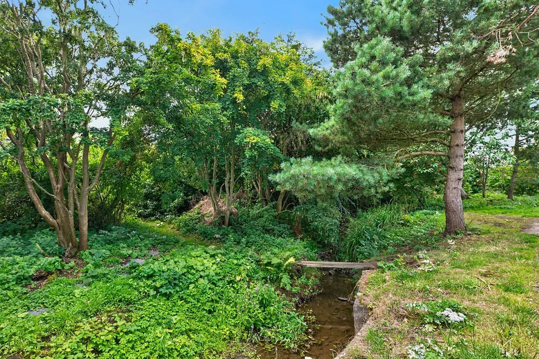 https://mr0.homeflow-assets.co.uk/files/photo/image/48063/2946/_x_/Photo59.jpg