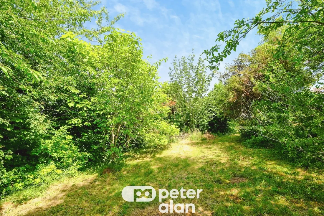 Property photo 19