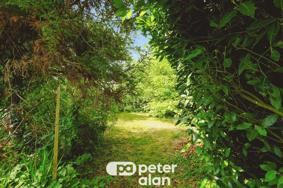 Property photo 20