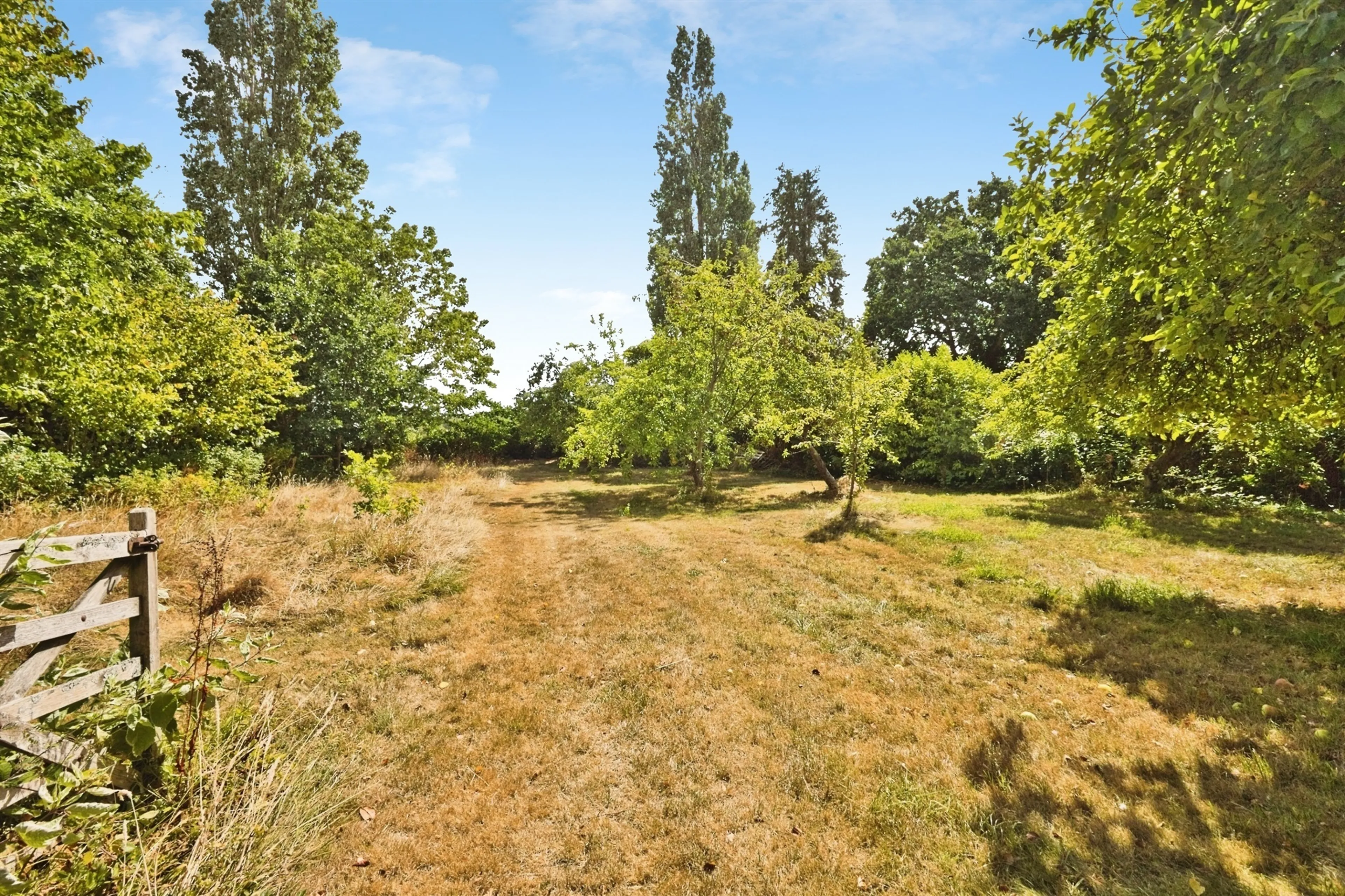 Property photo 14