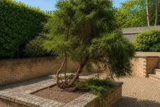 Green Farm Close, Castor, Peterborough