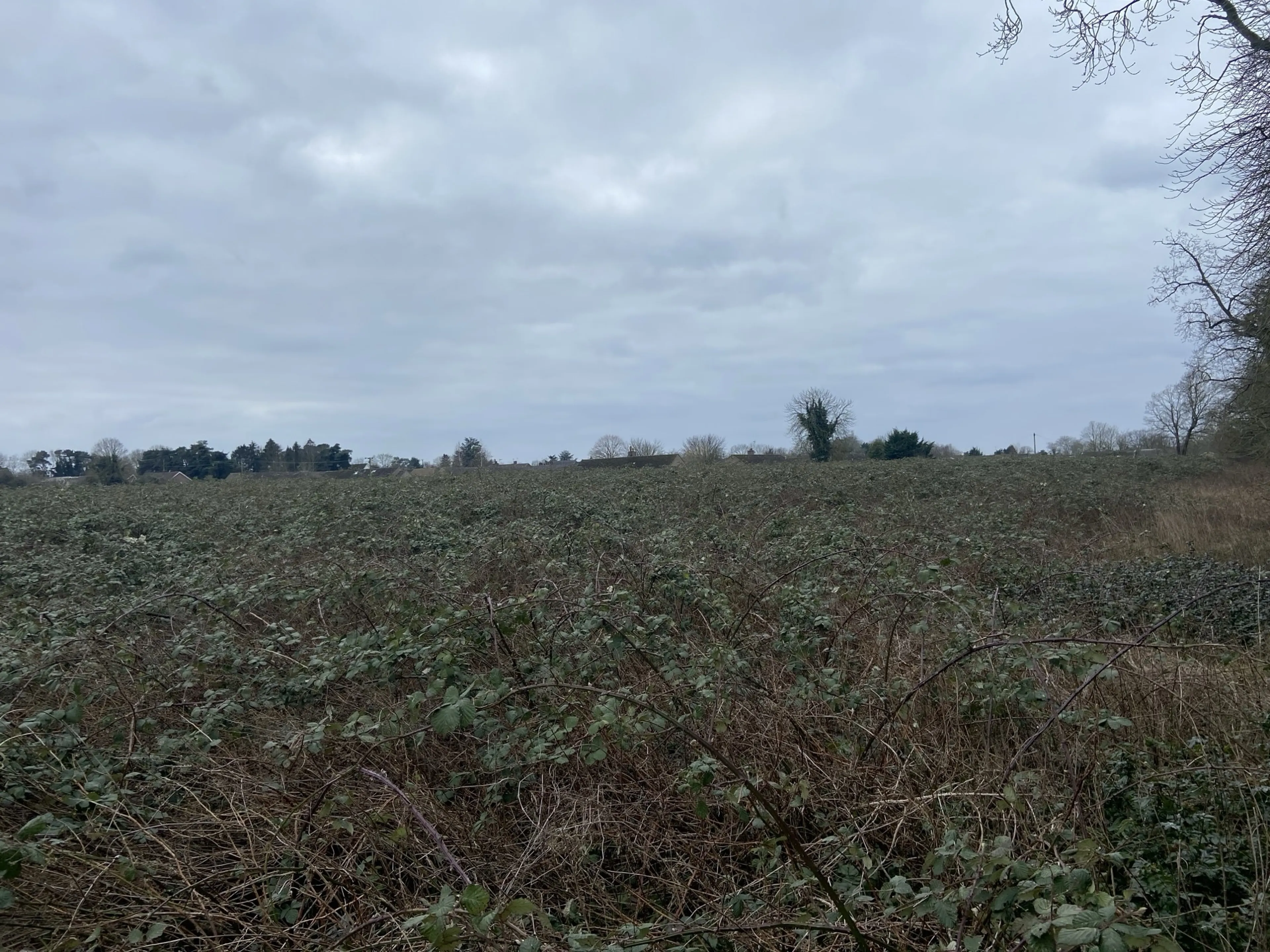 Property at Barr Drive, Lakenheath, Brandon