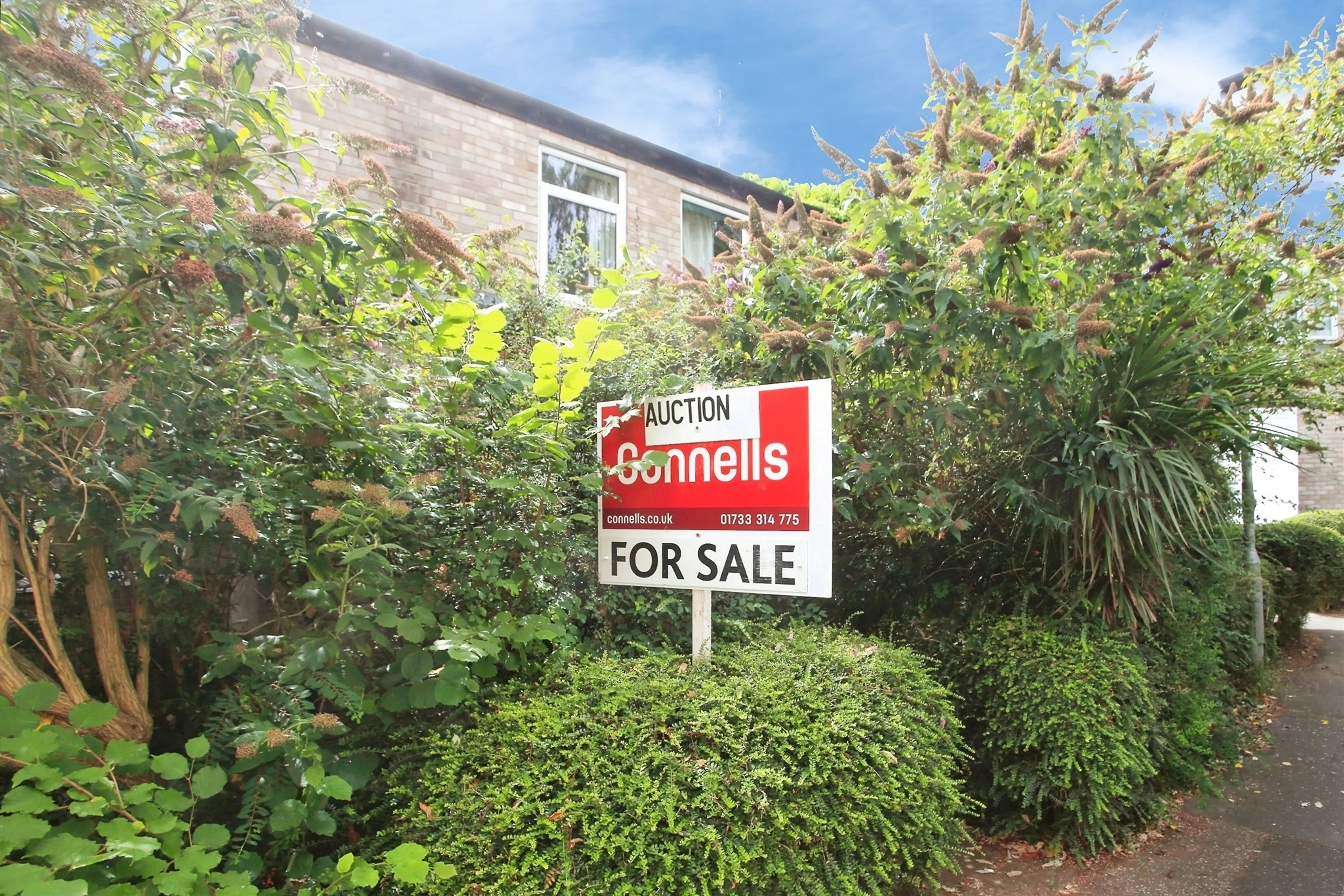 Property photo 0