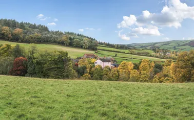 Hopcott Road, Minehead