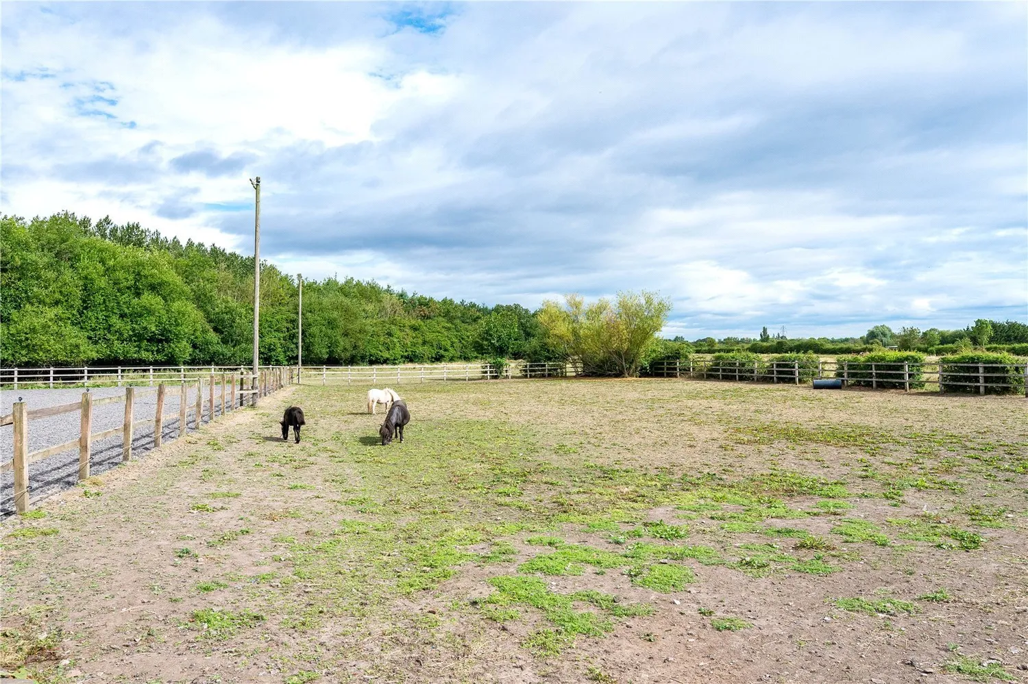 Gorsey Lane, Bold, WA9 photo 31