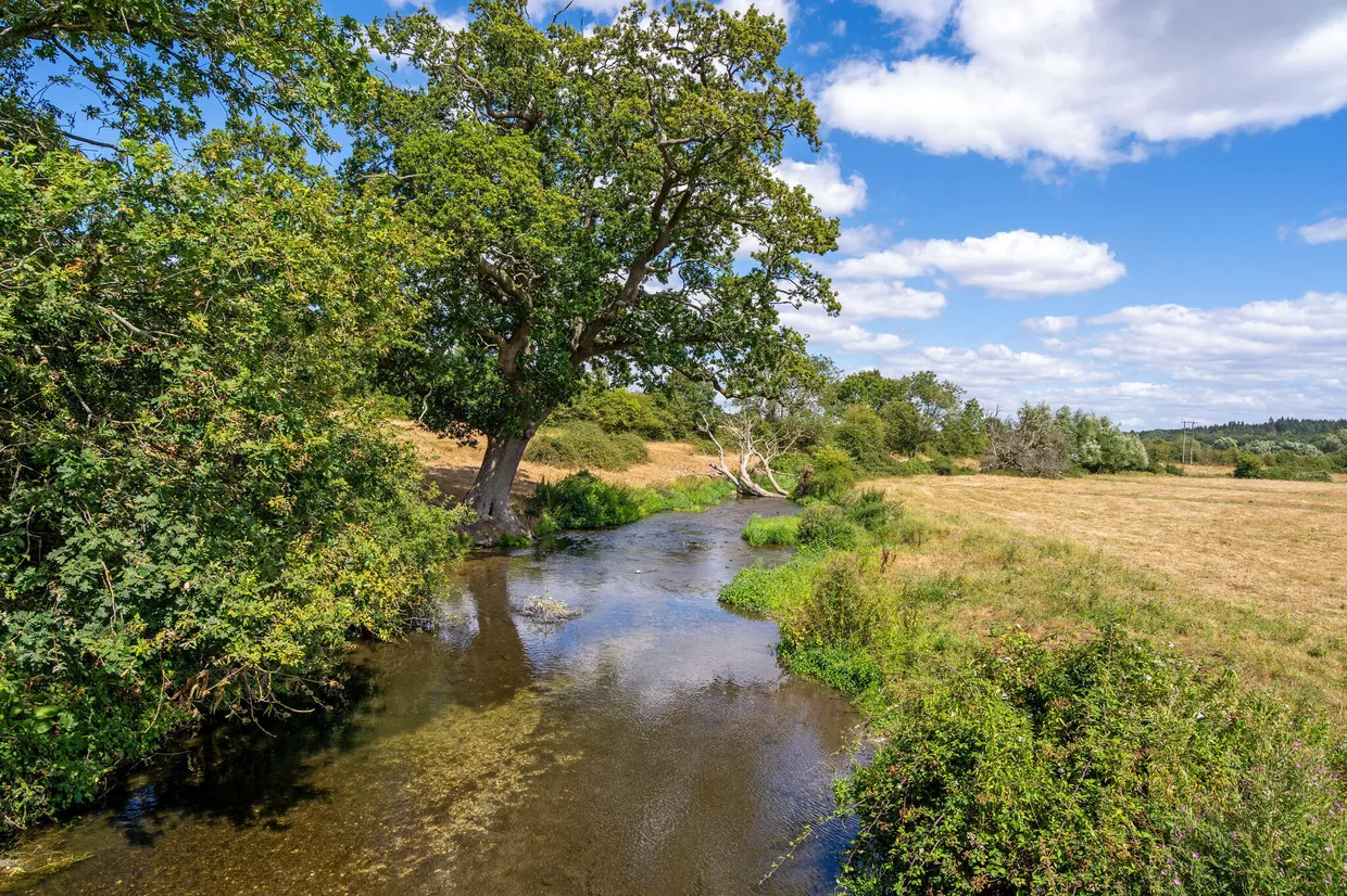 Isington Road, Isington, GU34 photo 5