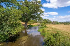 Isington Road, Isington, GU34 photo 5