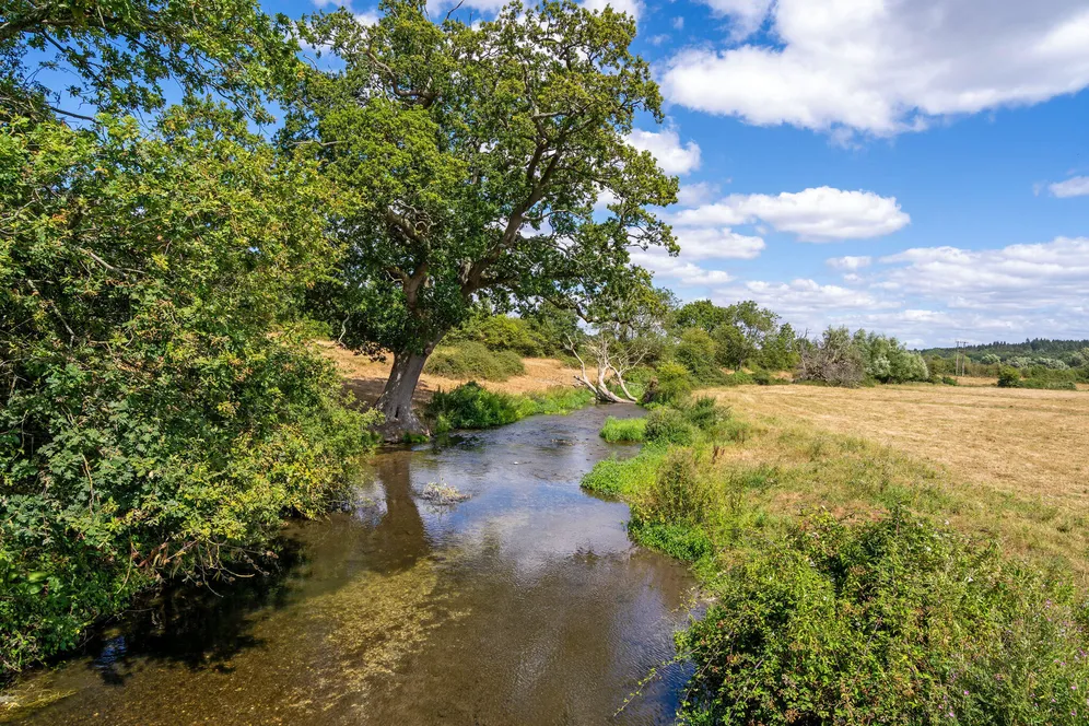 Isington Road, Isington, GU34 photo 5