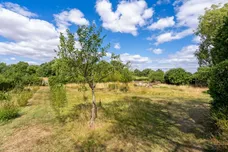Isington Road, Isington, GU34 photo 25