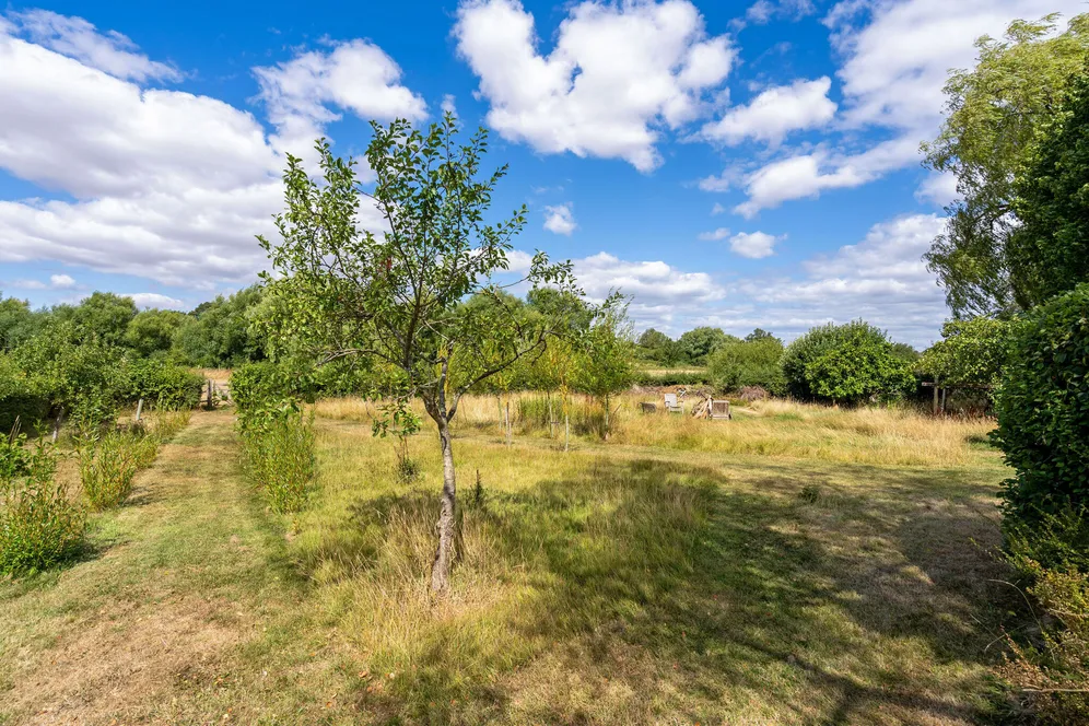 Isington Road, Isington, GU34 photo 25