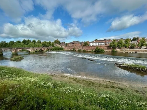 Salmon Leap, Handbridge