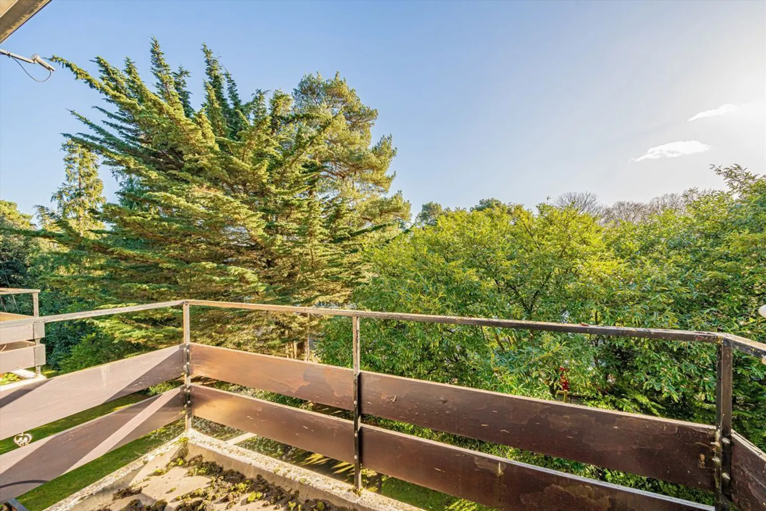 Brockley Combe, Weybridge, KT13 photo 6