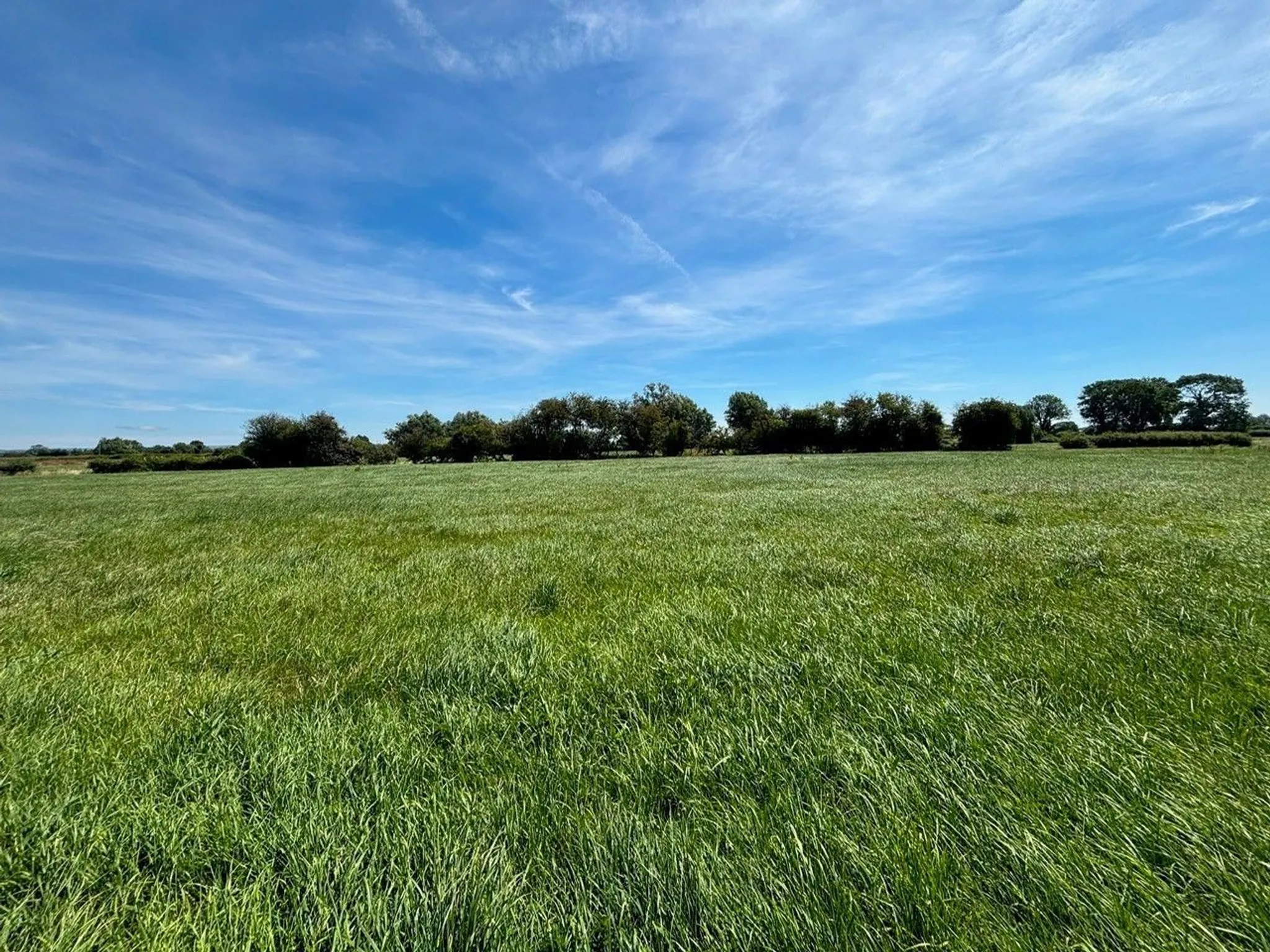https://mr0.homeflow-assets.co.uk/files/photo/image/48080/4851/_x_/58746781.jpg