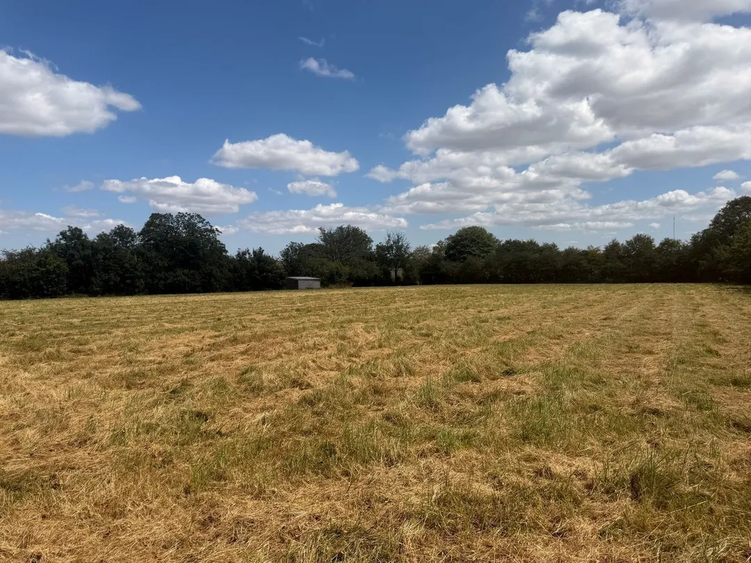 https://mr0.homeflow-assets.co.uk/files/photo/image/48080/5102/_x_/58754135.jpg