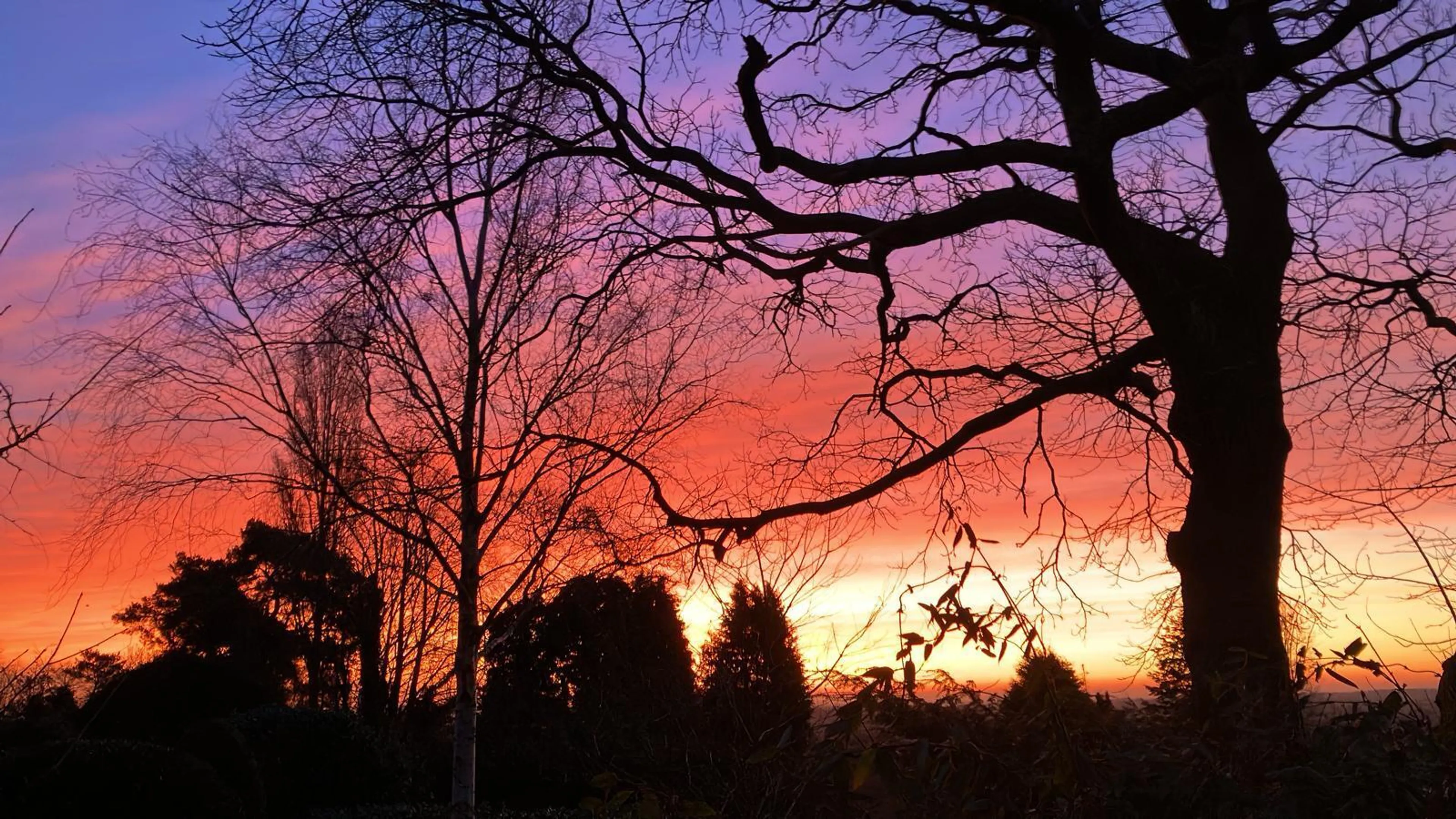 Property photo 21