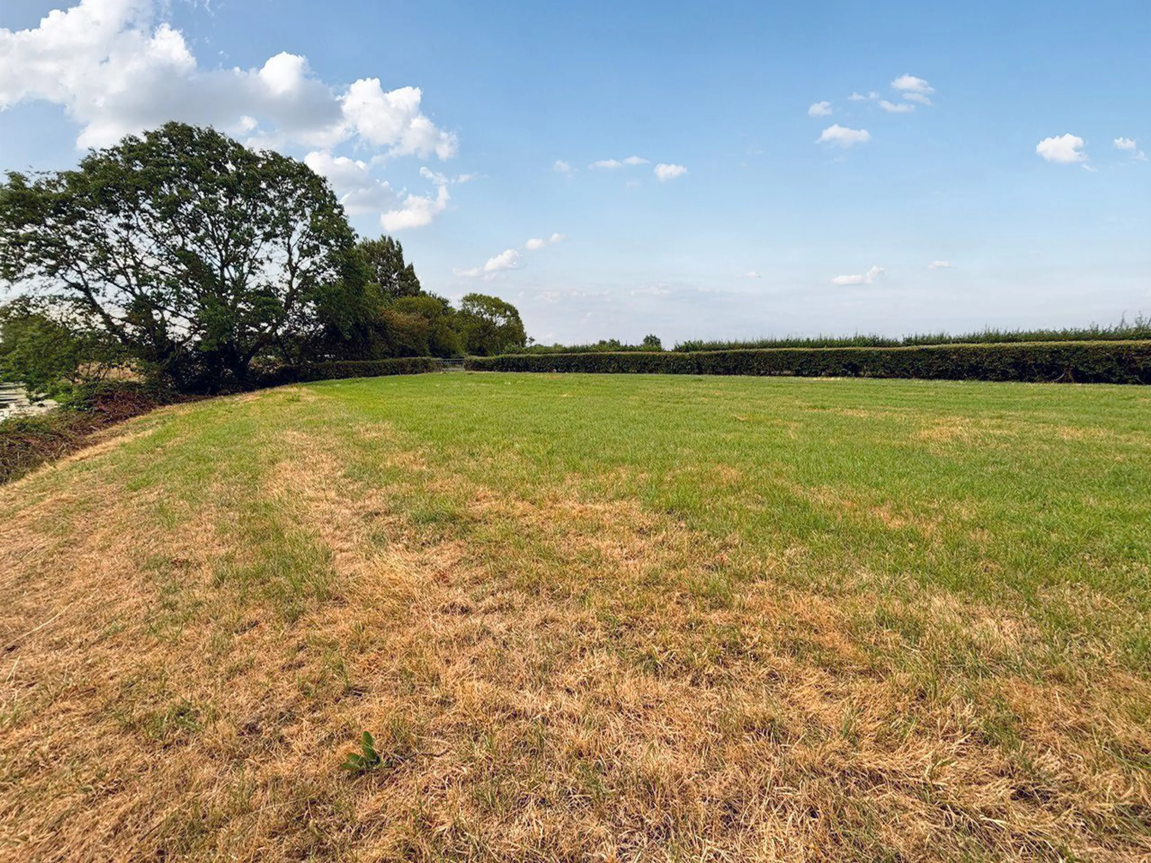 Merry Lane, Bason Bridge, TA9