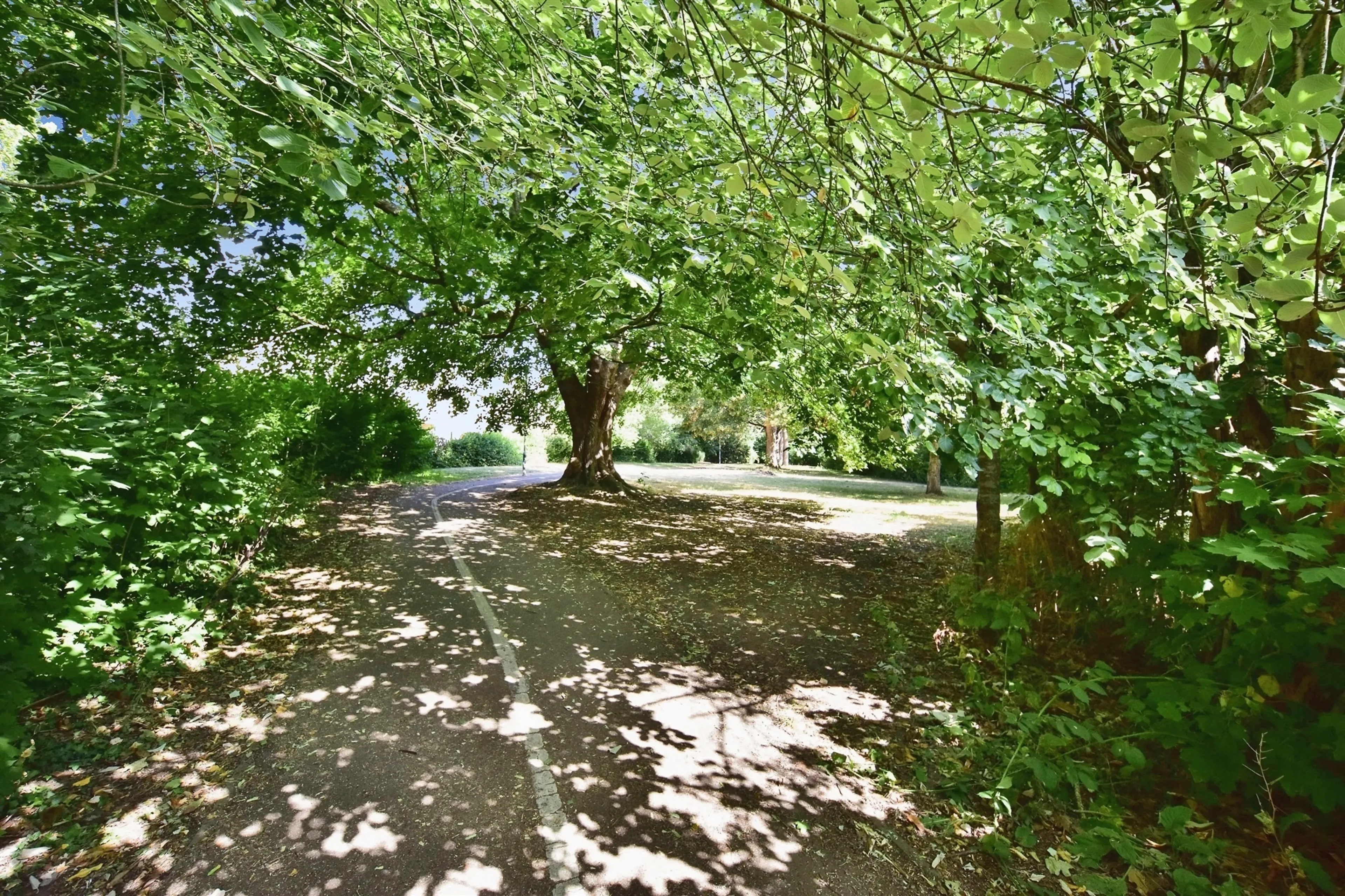 Property photo 24