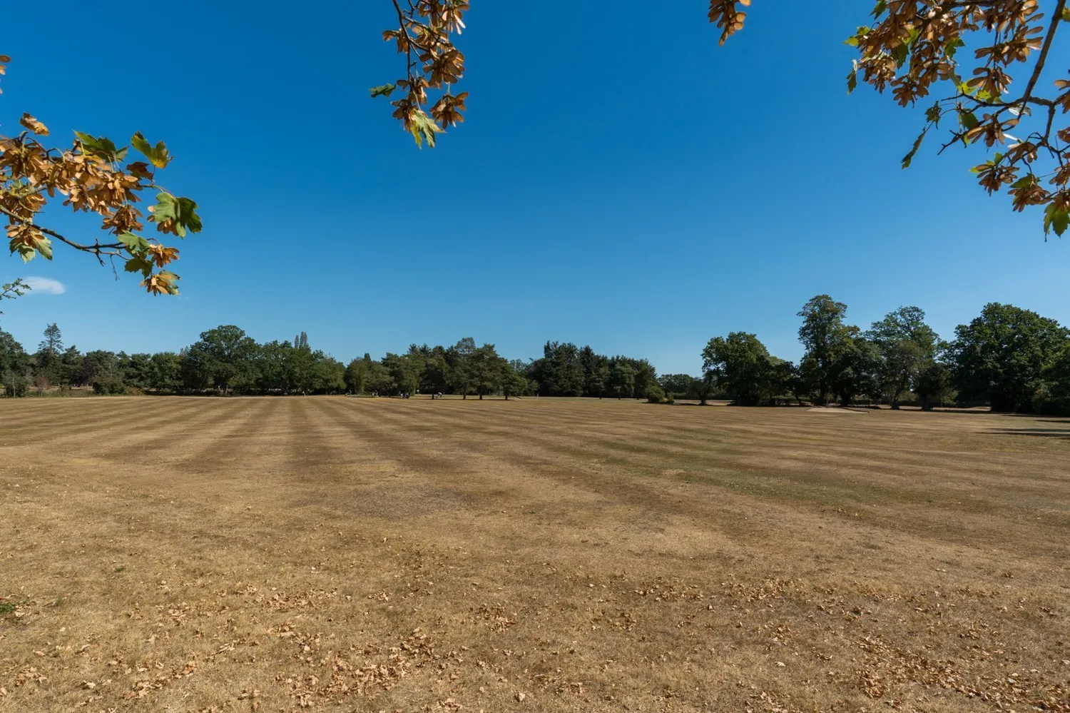 Fairways, Braiswick, CO4 photo 27