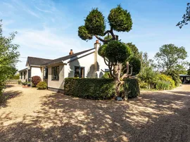 Genesis Green, Wickhambrook, Newmarket photo