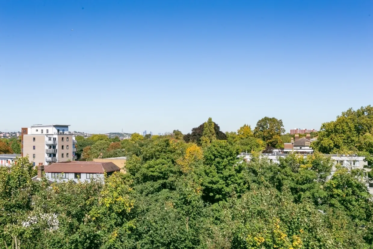 Albemarle Road Beckenham BR3 photo 5
