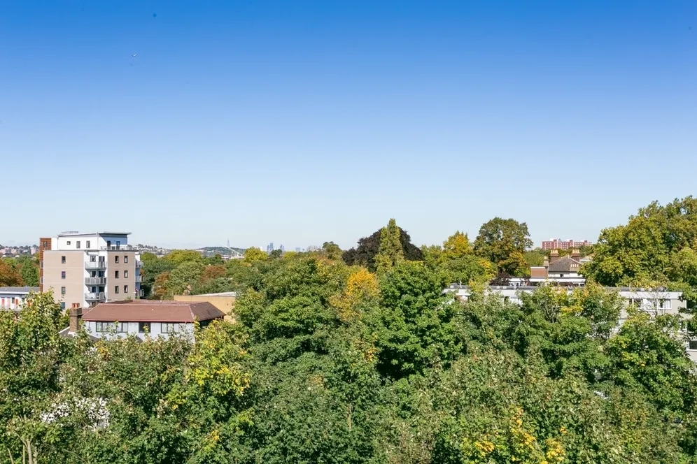 Albemarle Road Beckenham BR3 photo 5