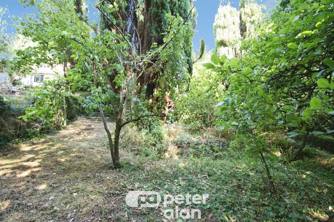 Property photo 25