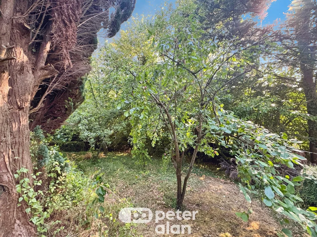 Property photo 26