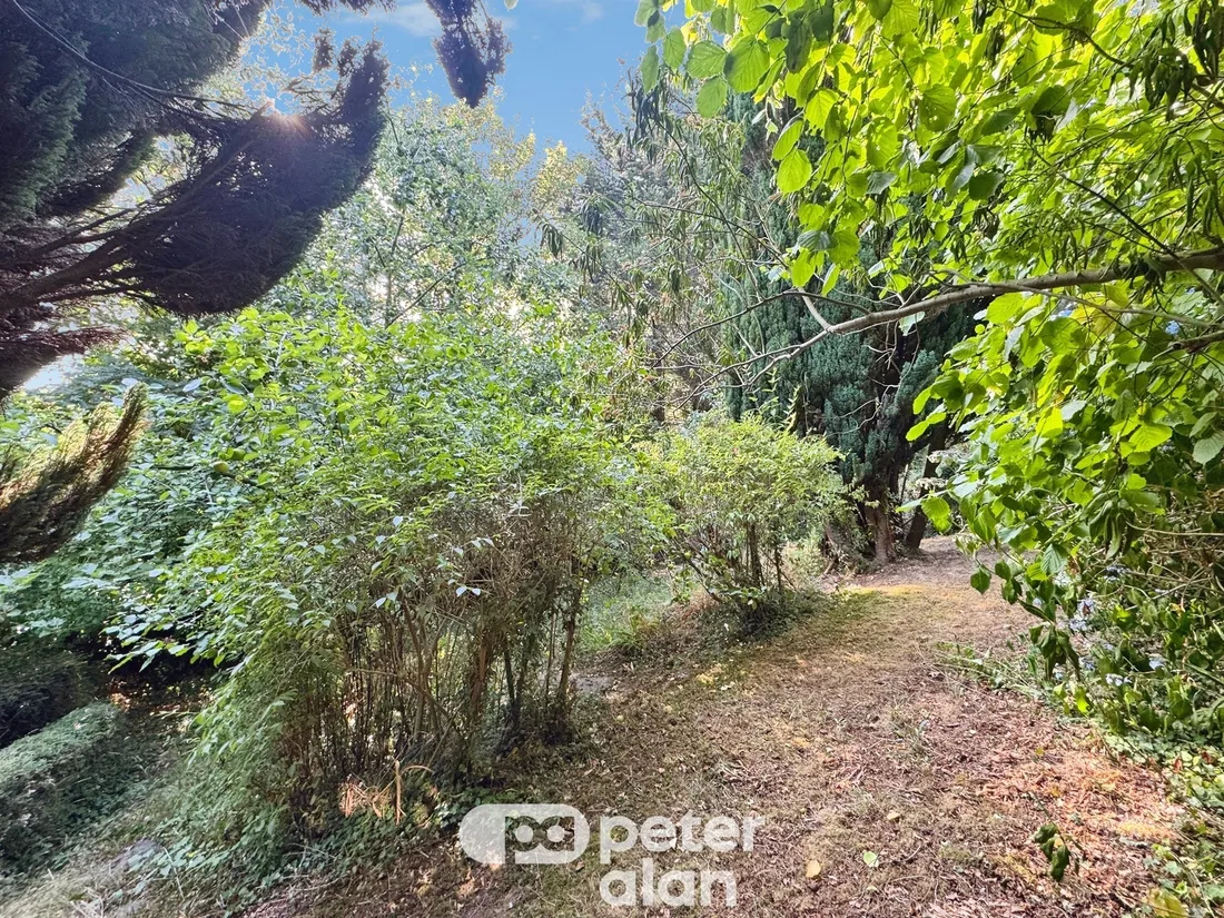 Property photo 27