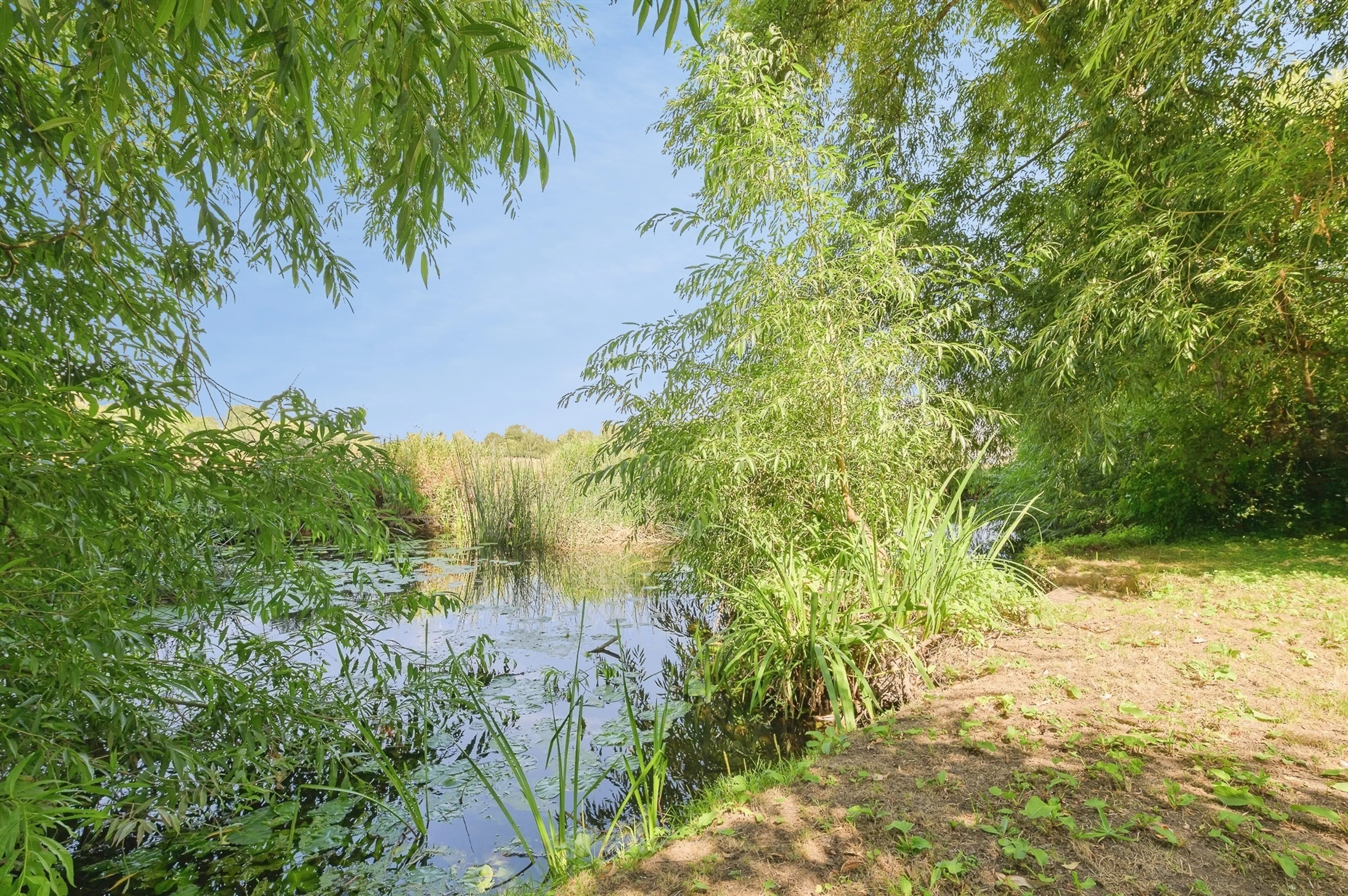 Property photo 14