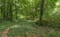 Property image gallery