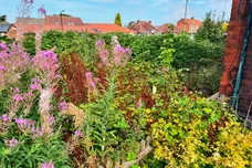Station Road, Haxby, York