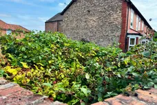 Station Road, Haxby, York