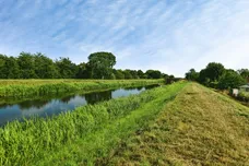 Wainfleet Bank, Wainfleet, Skegness