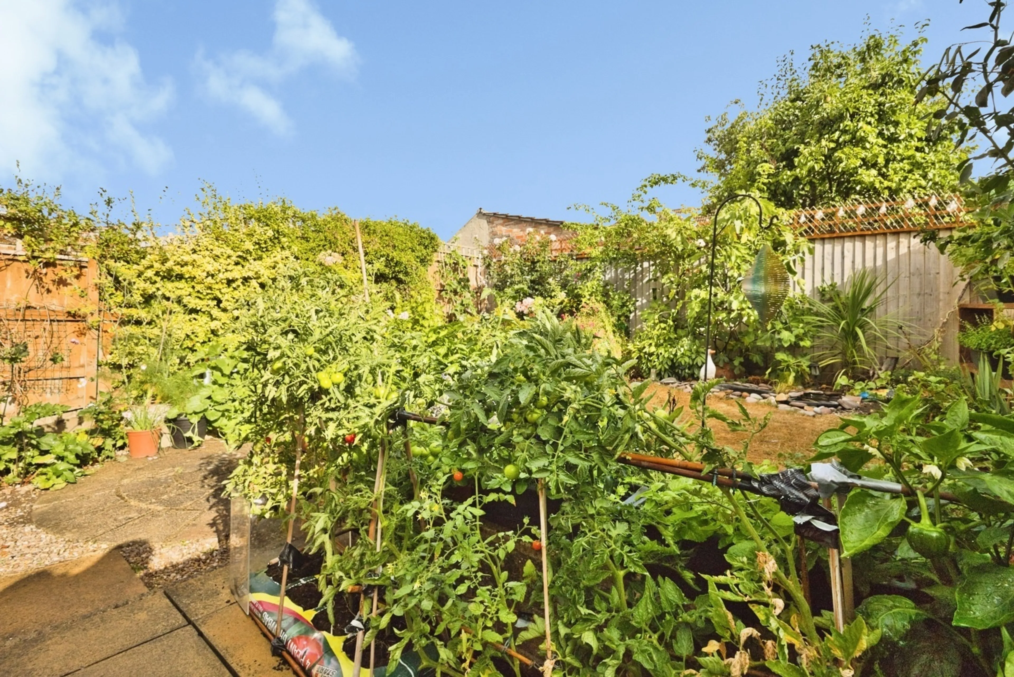 Property photo 21