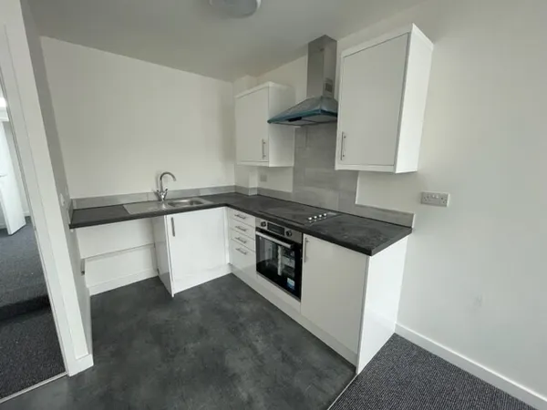 Institute Lane, Alfreton, DE55