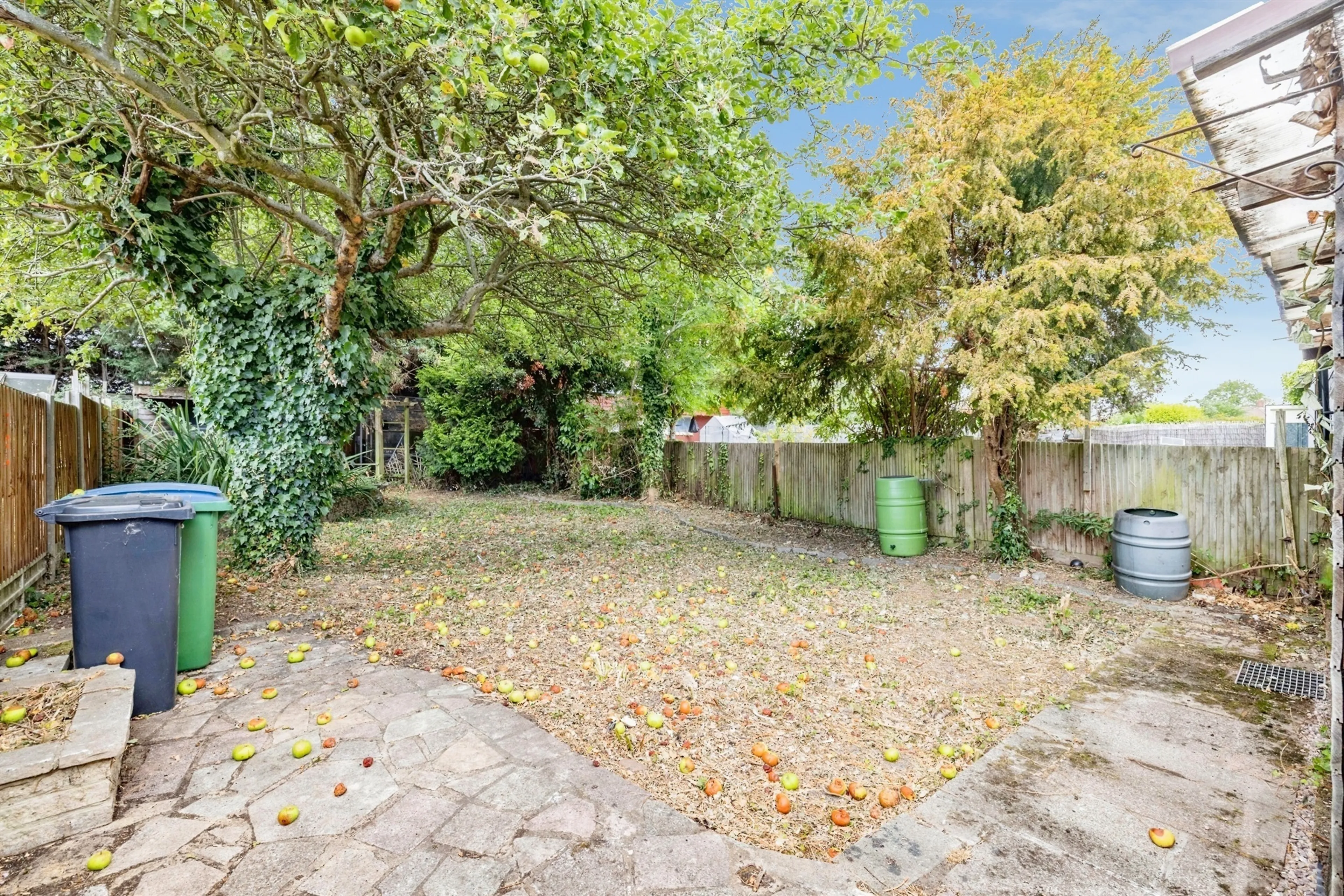 Property photo 13