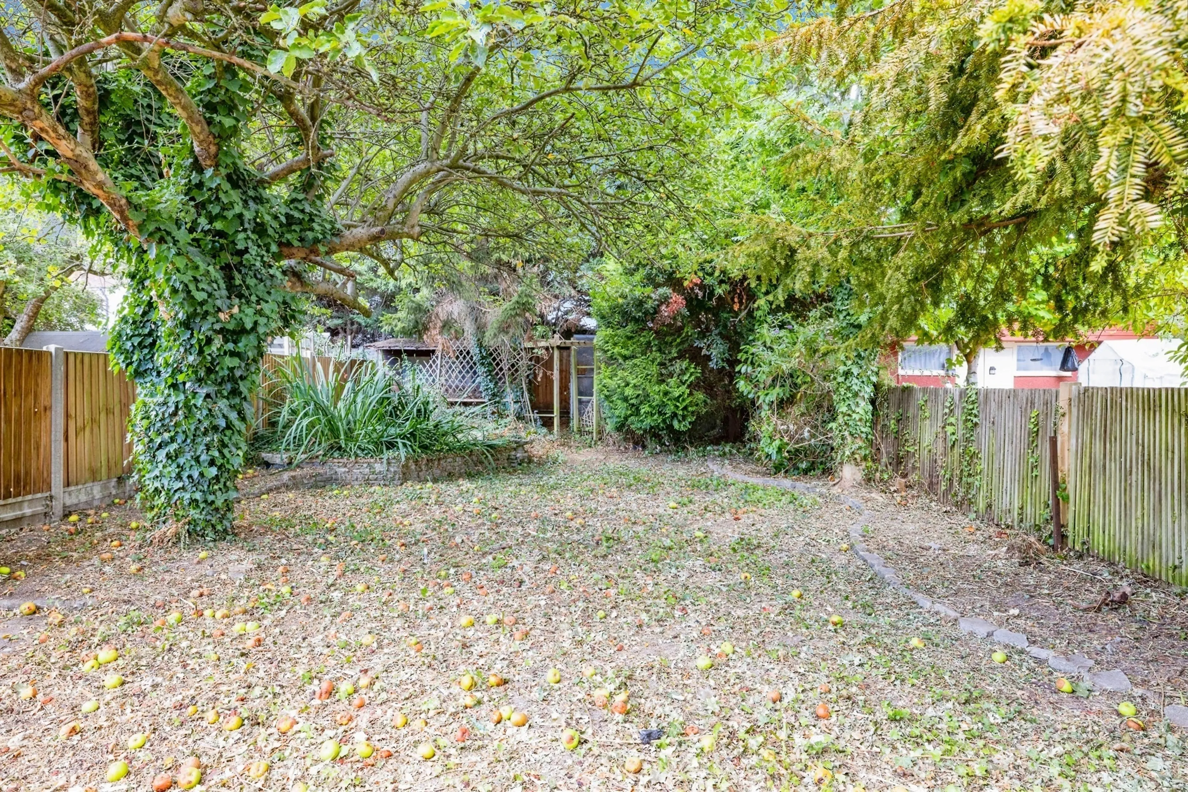 Property photo 15