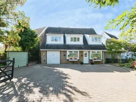 Hornbeam, Newport Pagnell photo