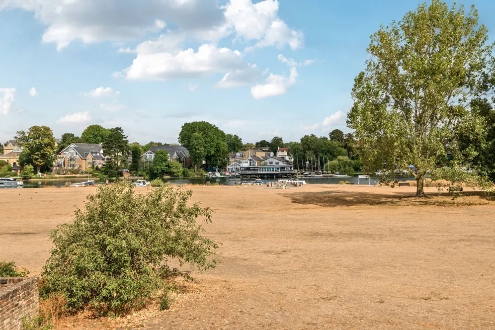 Buckingham Gardens, West Molesey KT8 photo 22