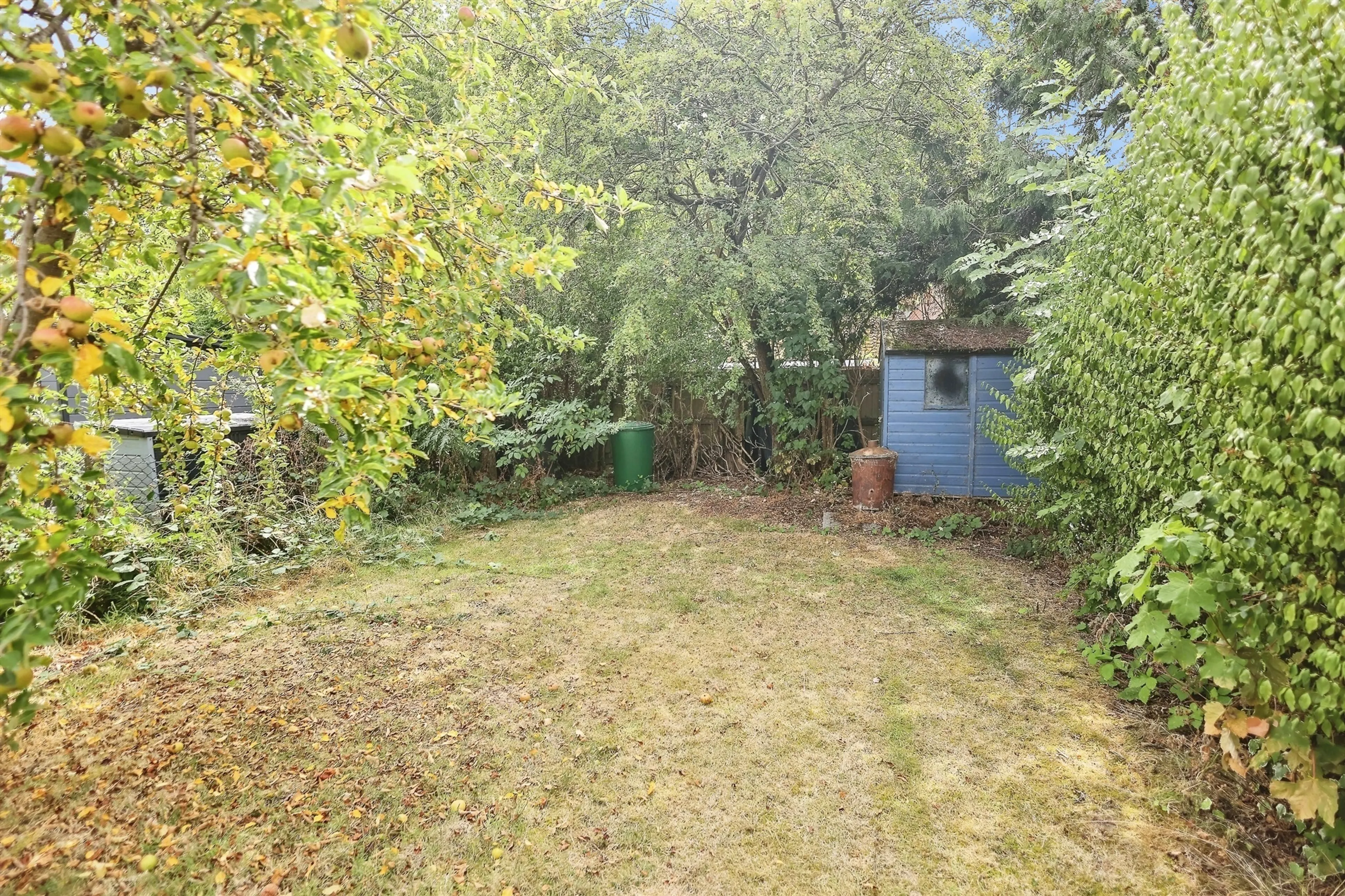 Property photo 19