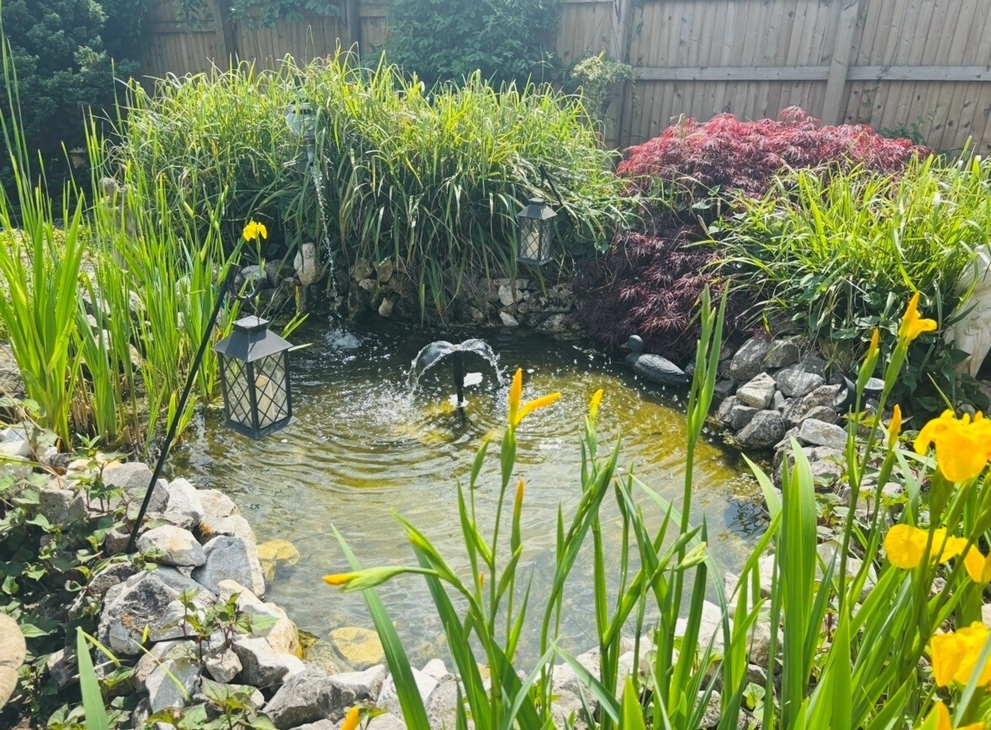 Property photo 28