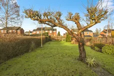 Edgar Avenue, Stowmarket