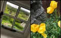 Property image gallery
