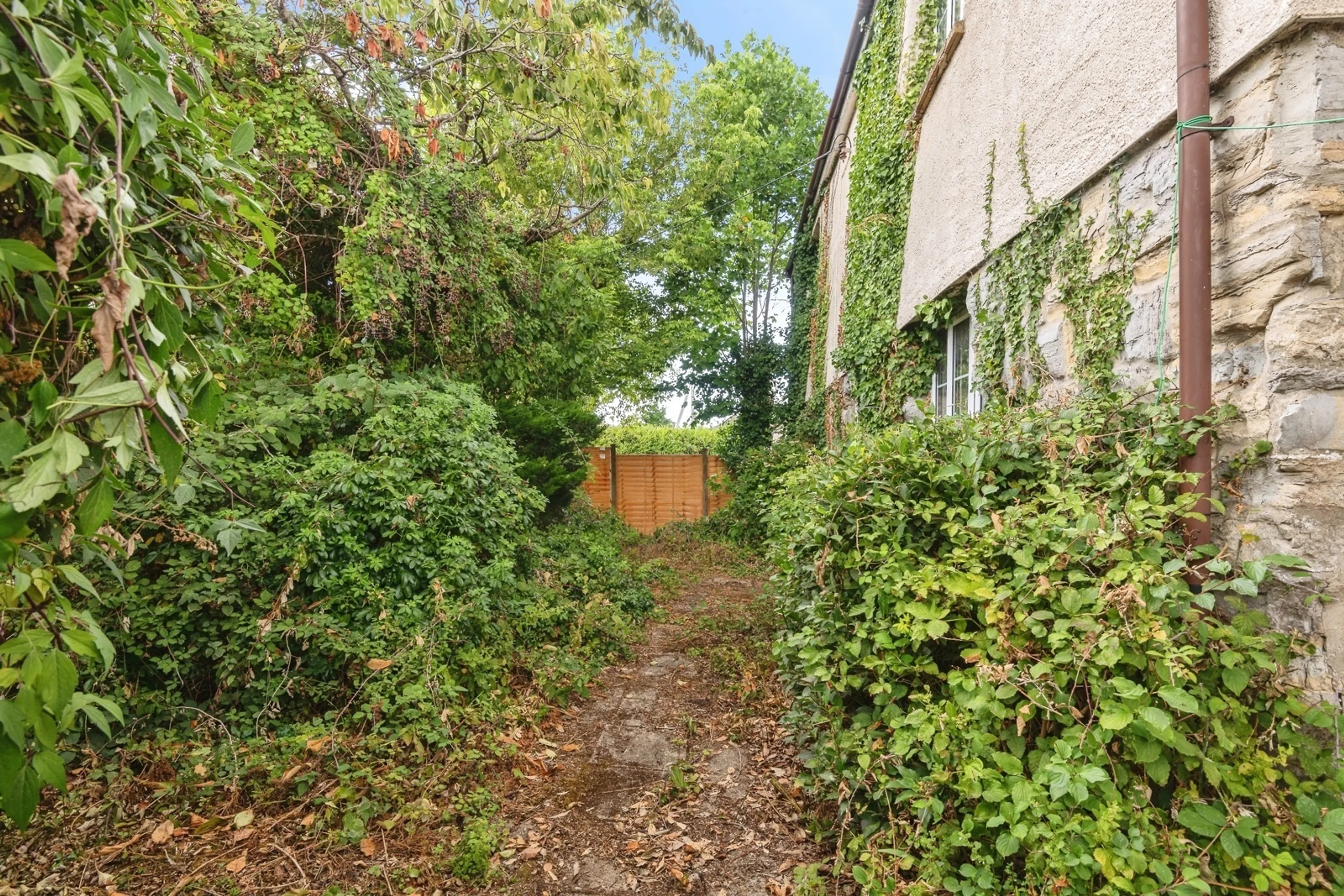Property photo 15