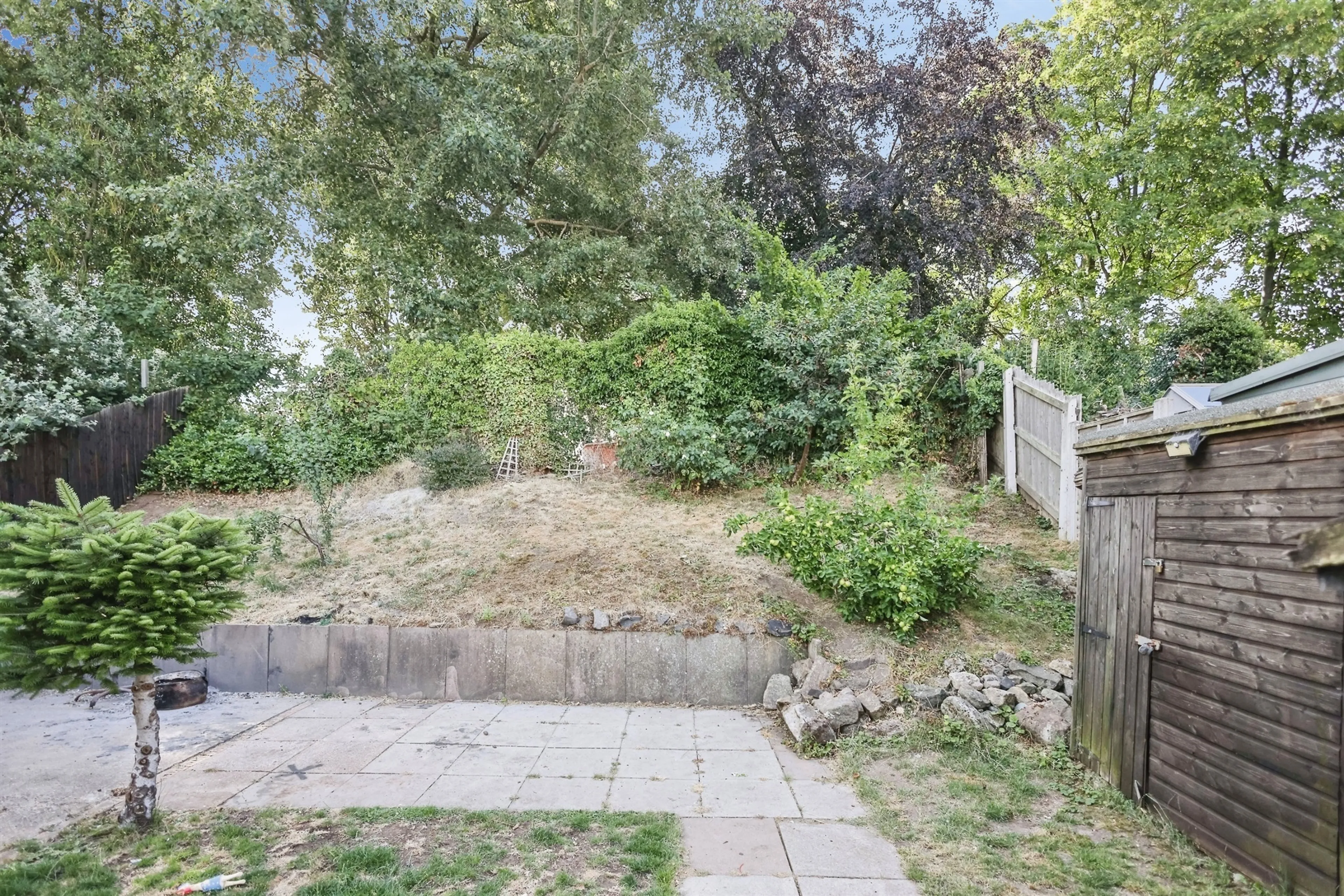Property photo 19