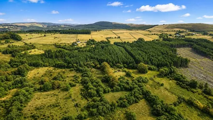 Cellan, Lampeter, SA48