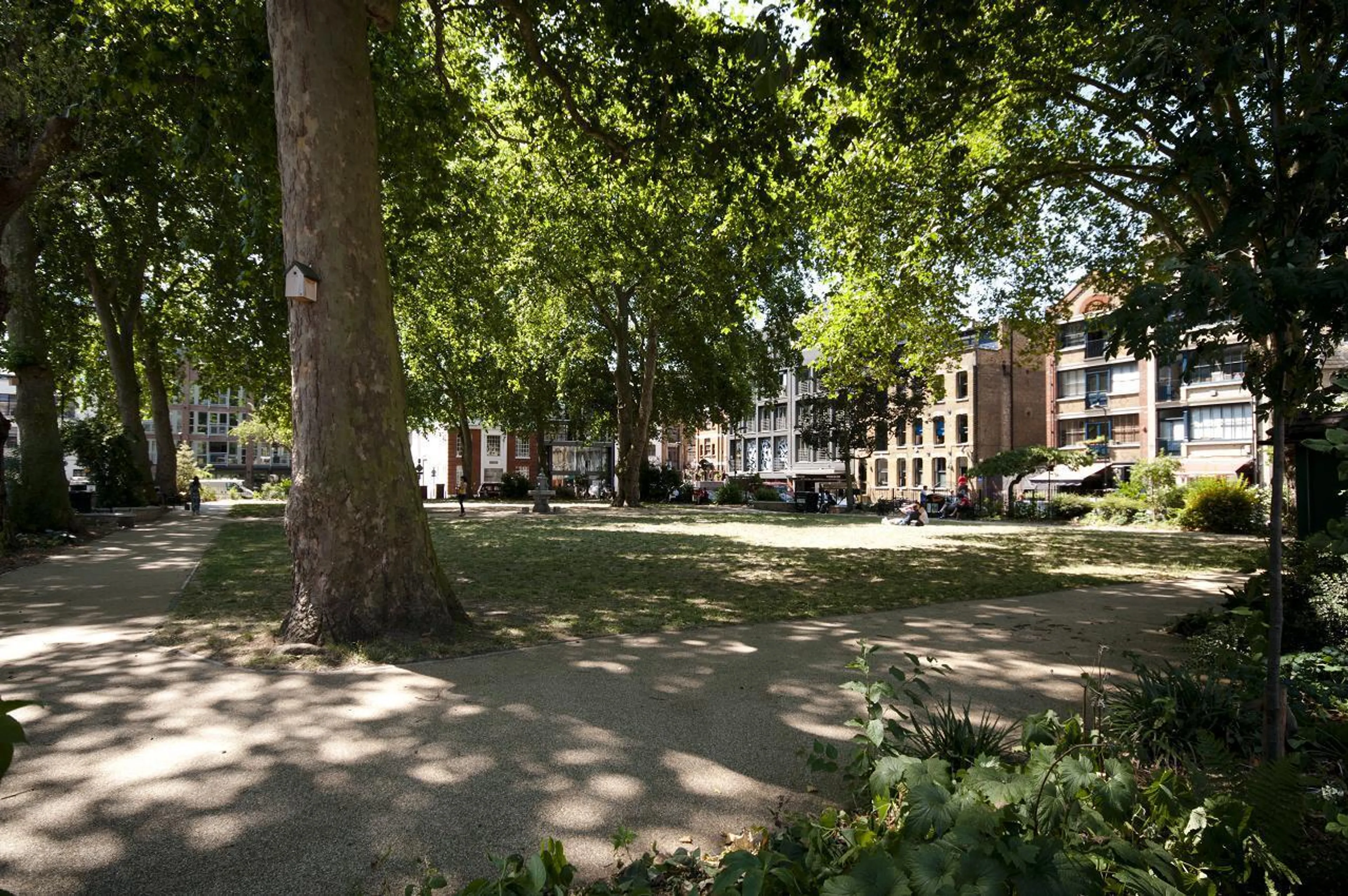 Photo 6